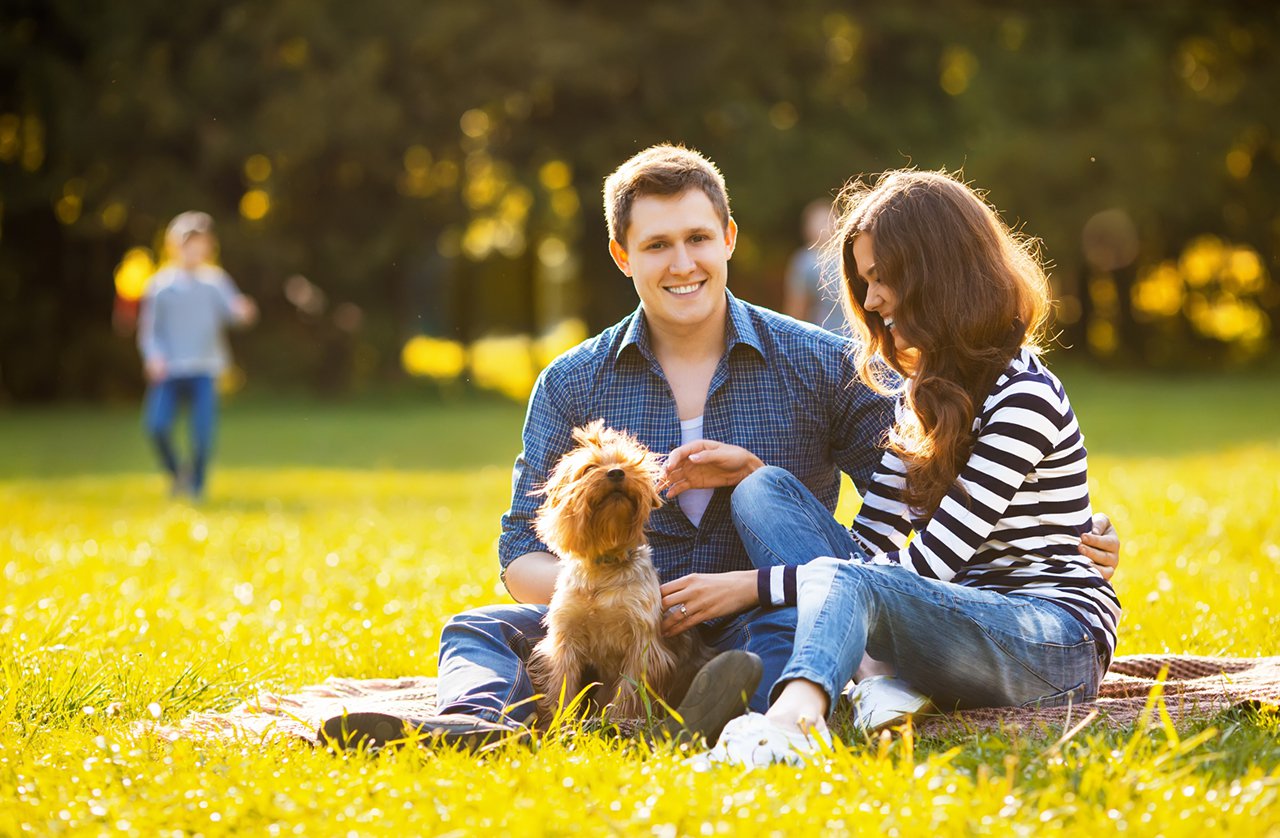 couple at park with dog
